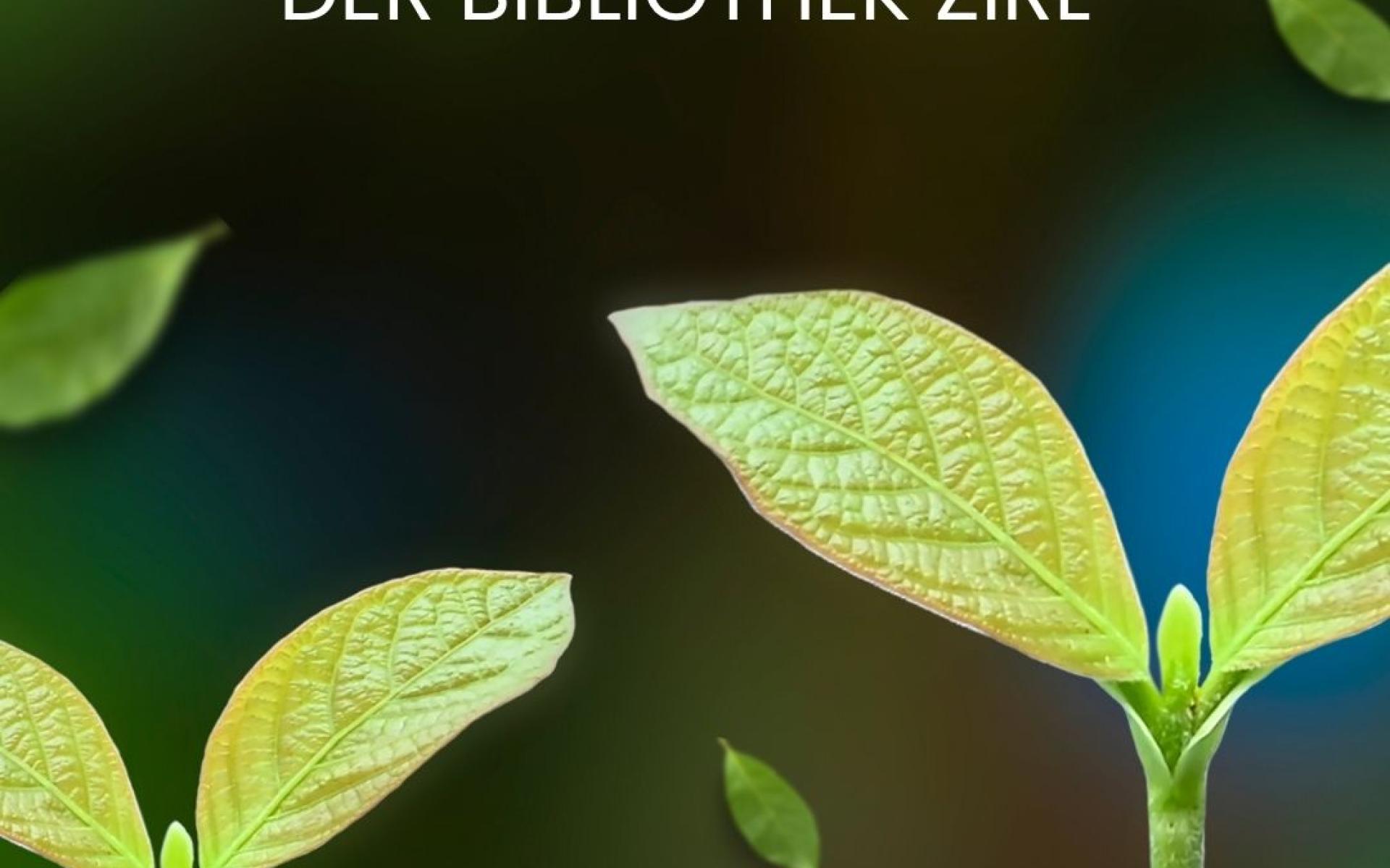 Pflanzentausch 2